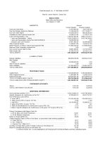 Balance Sheet as of March 2025